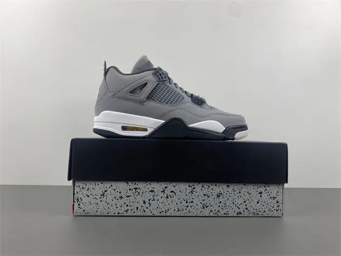 Air Jordan 4