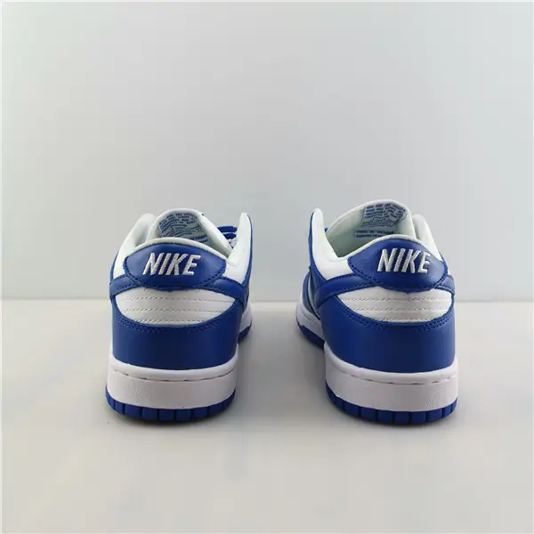 NIKE DUNK LOW RETRO 