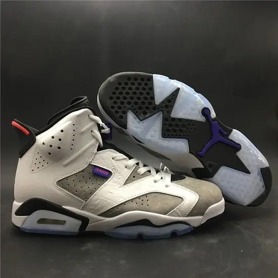 GOAT Air Jordan 6 Retro LTR 