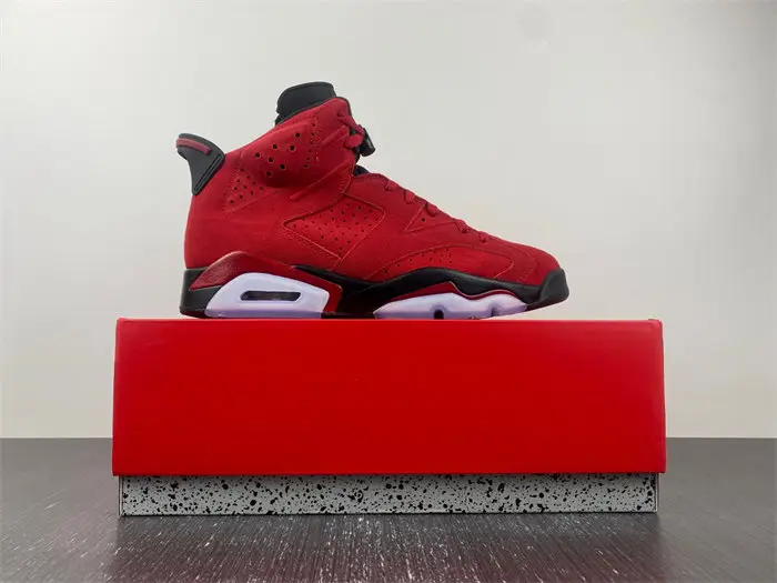 Air Jordan 6 
