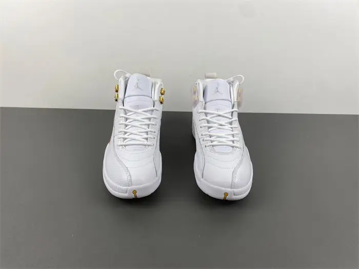 Air Jordan 12 