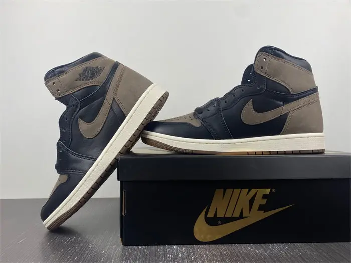 Jordan 1 Retro High OG Palomino 