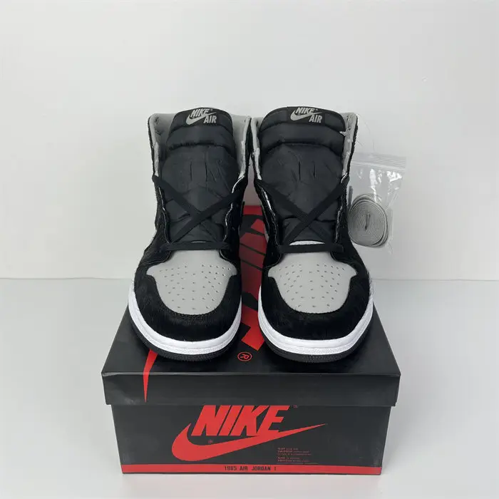 Jordan 1 Retro High OG Twist 2.0 