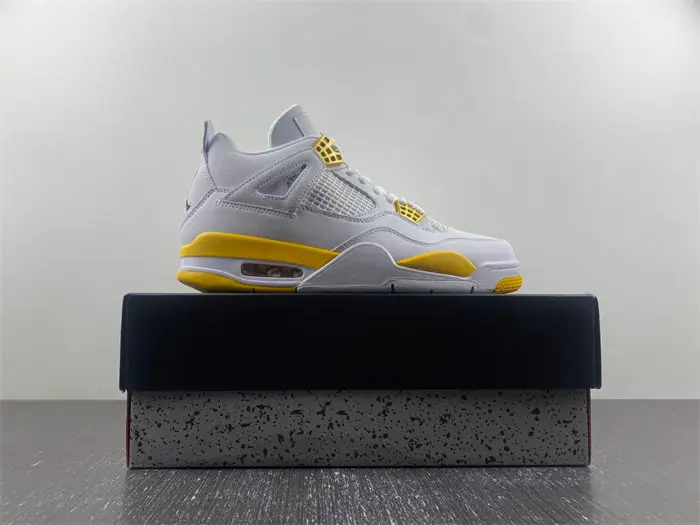 Air Jordan 4 WMNS 
