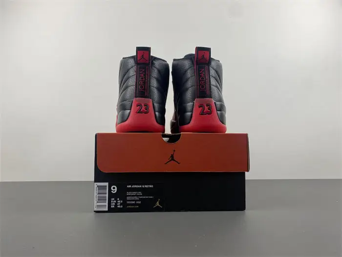 Air Jordan AJ12 