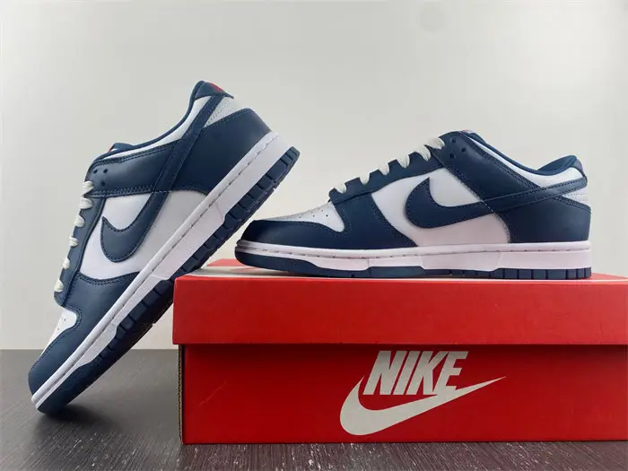 Nike Dunk Low Valerian Blue 