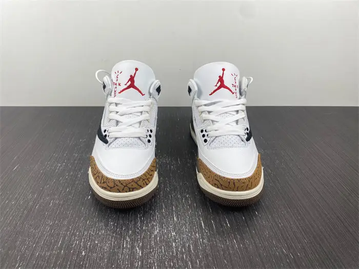 Travis Scott x Air Jordan 3 