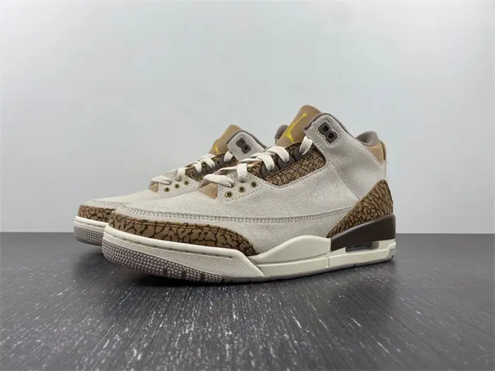 Air Jordan 3 