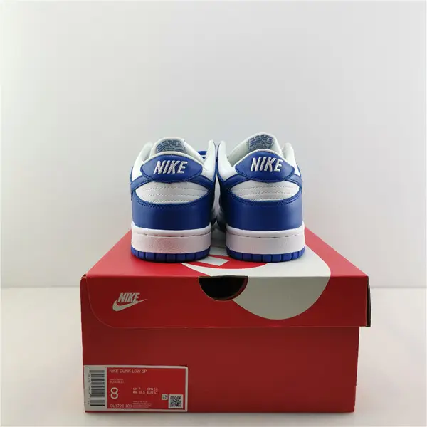 NIKE DUNK LOW RETRO 