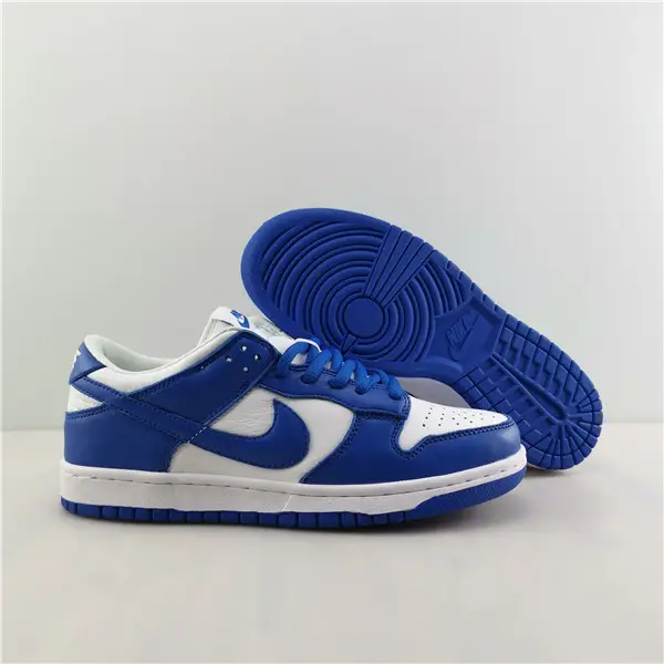 NIKE DUNK LOW RETRO 