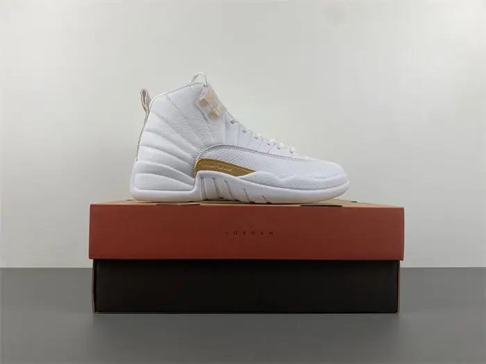 Air Jordan 12 