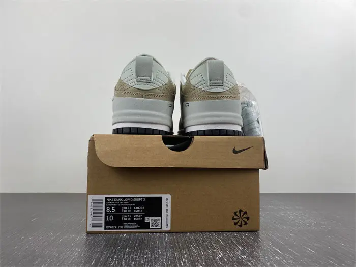 Nike Dunk Disrupt 2 
