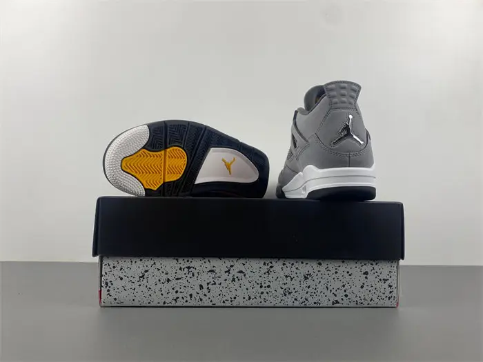 Air Jordan 4