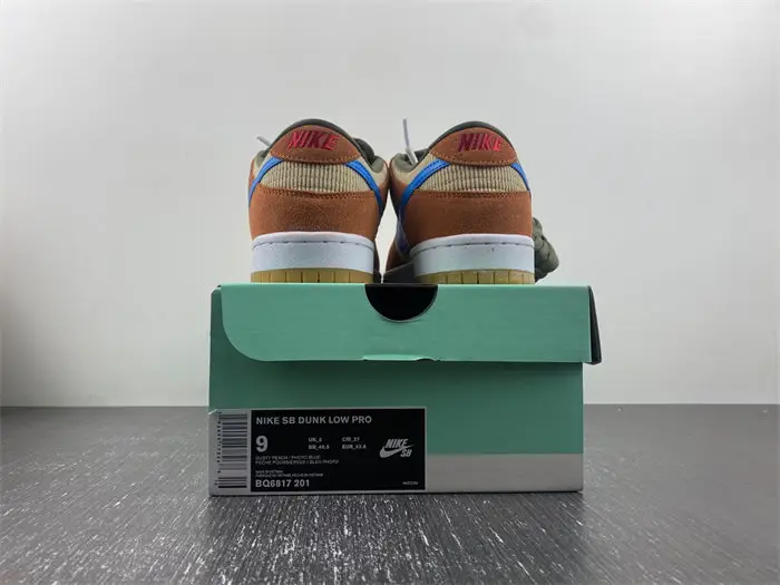 Nike SB Dunk Low Pro SB 