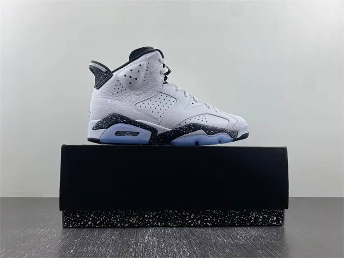 Air Jordan 6 