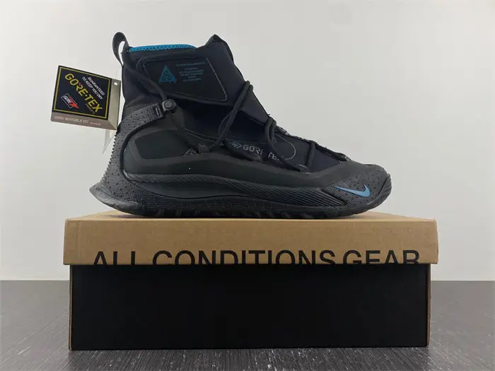 Nike ACG Air Terra Antarktik 