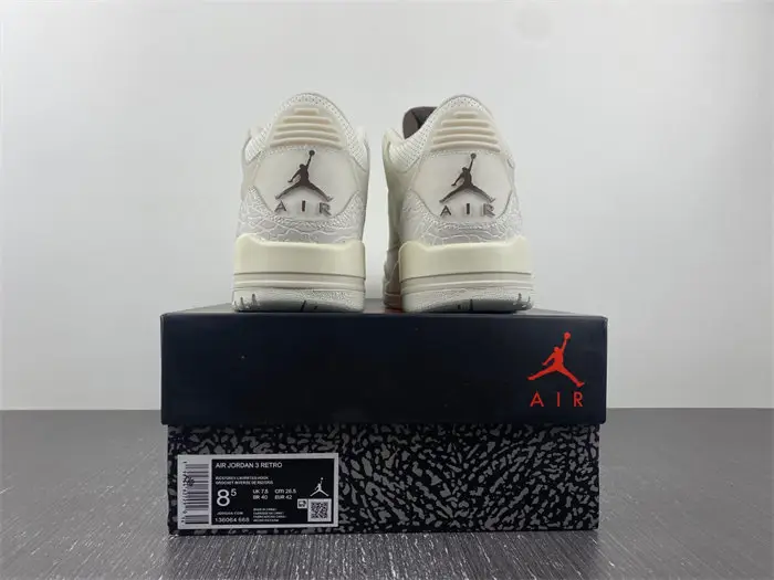 Travis Scott x Air Jordan 3 