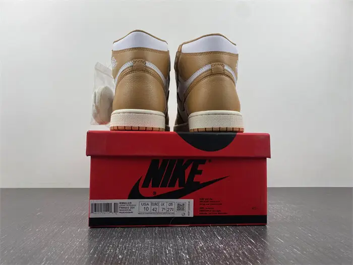 Jordan 1 Retro High OG Praline 
