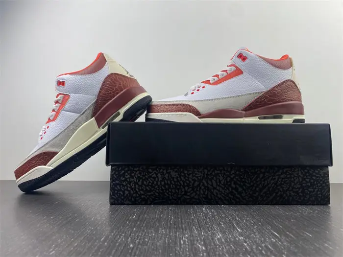 Jordan 3 Retro SE Dunk on Mars 
