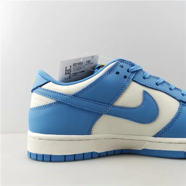 Nike Dunk Low Coast (W) 