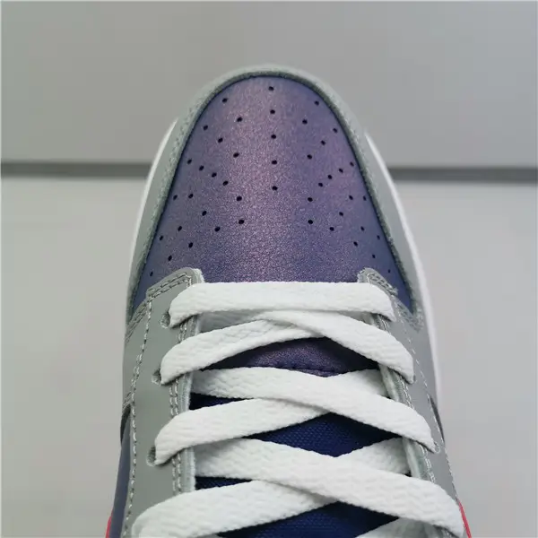 NIKE SB DUNK LOW 