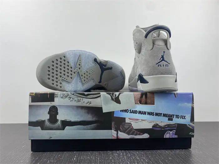 Air Jordan 6 