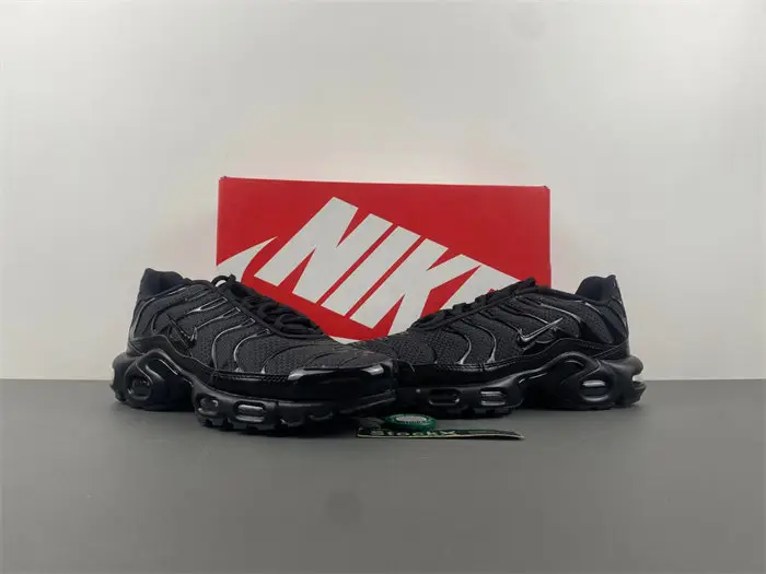 Nike Air Max Plu  BEECF2372