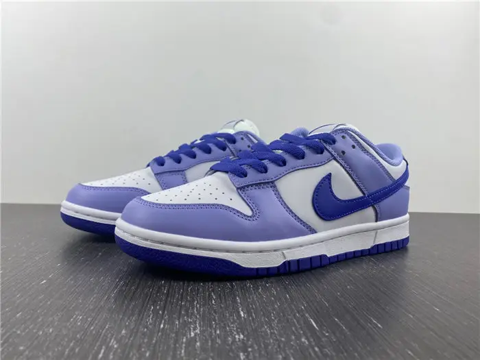 Nike Dunk Low Blueberry 