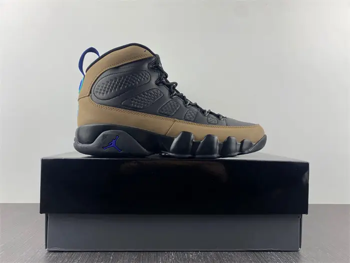 Air Jordan 9 