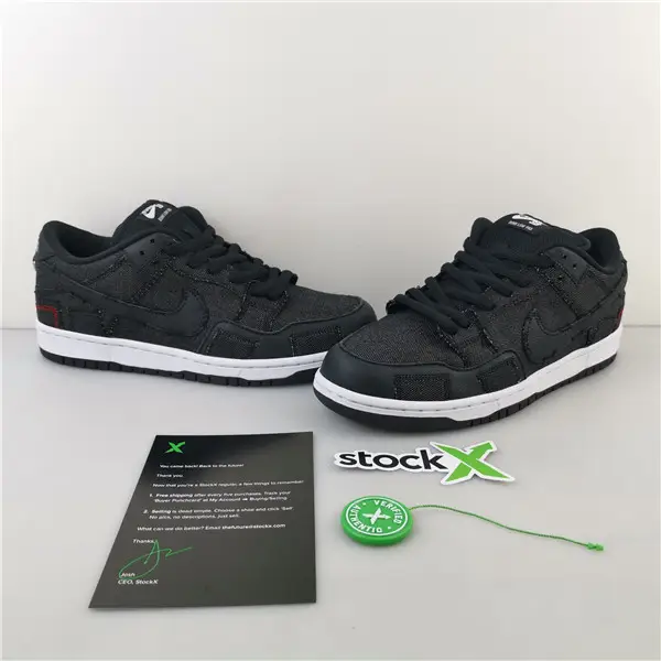 Nike SB Dunk Low Wasted Youth 