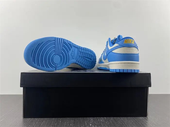Nike Dunk Low Coast 