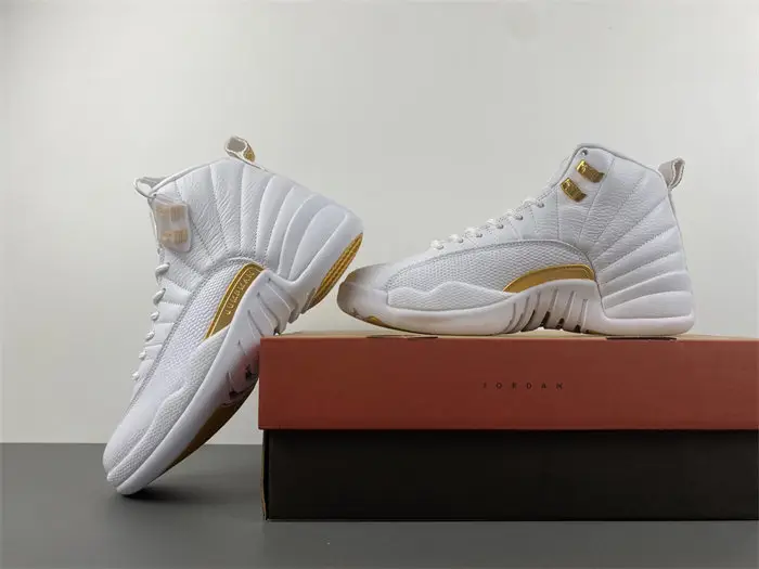 Air Jordan 12 