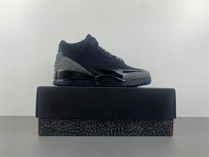 Air Jordan 3  black cat 