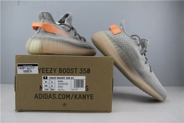 Adidas Yeezy Boost 350 V2 Trueform 