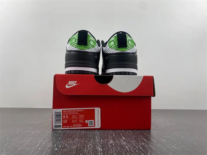 Nike Dunk Disrupt 2 