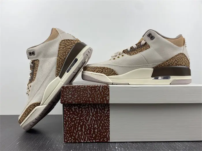 Air Jordan 3 
