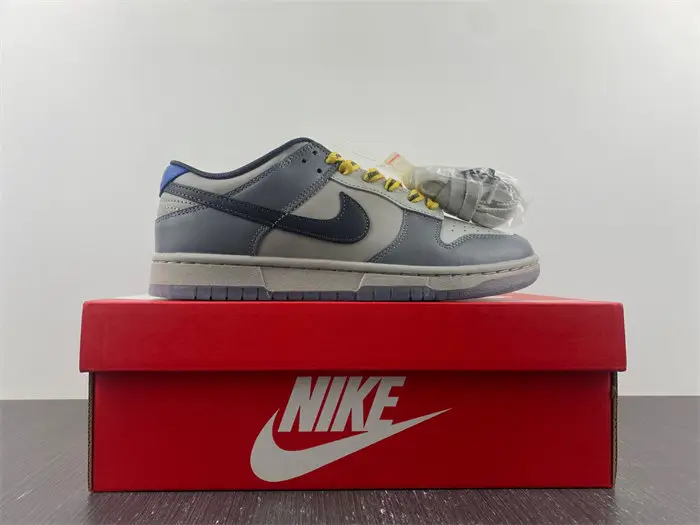 Nike Dunk Low North Carolina A&T 