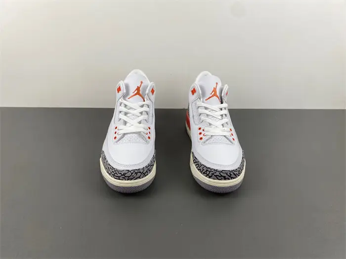 Air Jordan 3 WMNS 