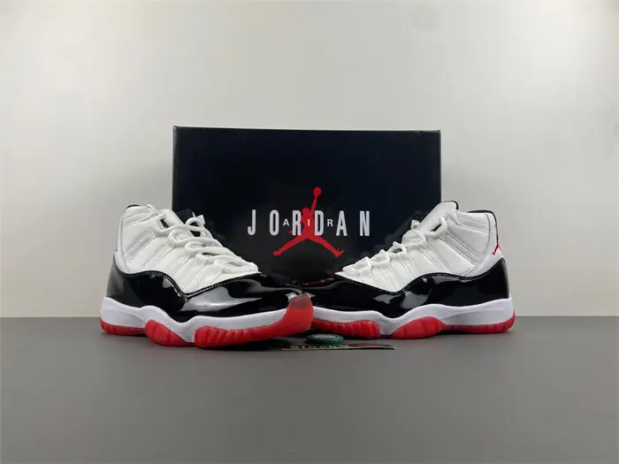 Air Jordan 11  FEBB1244
