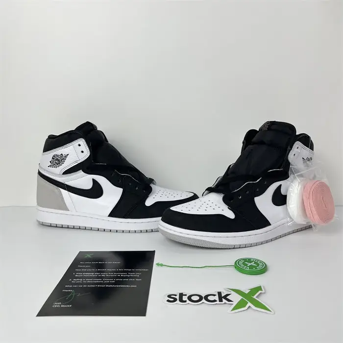 Jordan 1 Retro High OG Bleached Coral 