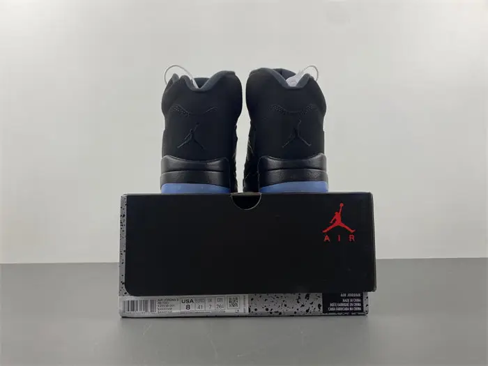 Air Jordan 5 