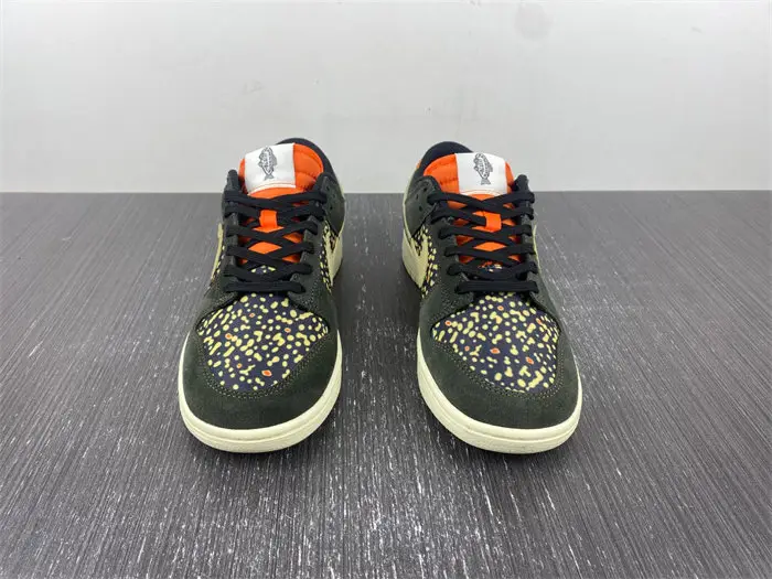 Nike Dunk Low Rainbow Trout 
