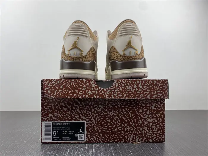 Air Jordan 3 