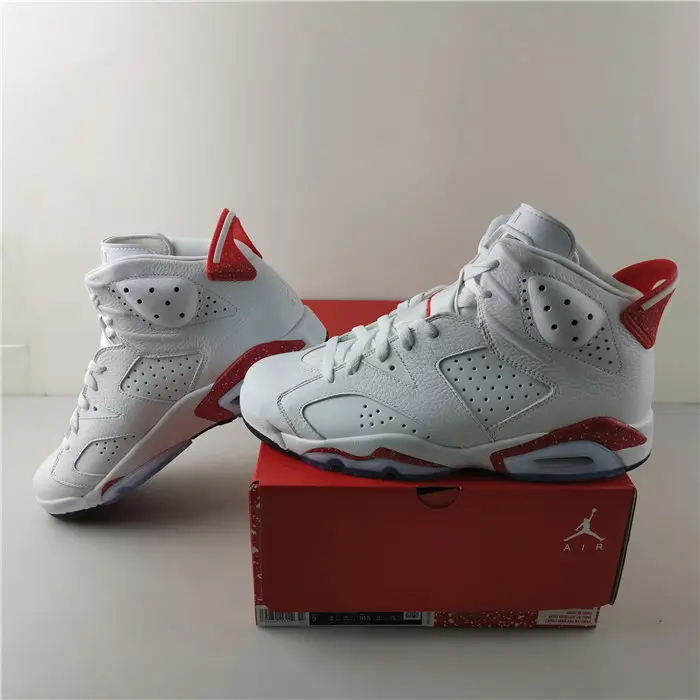 Air Jordan 6 