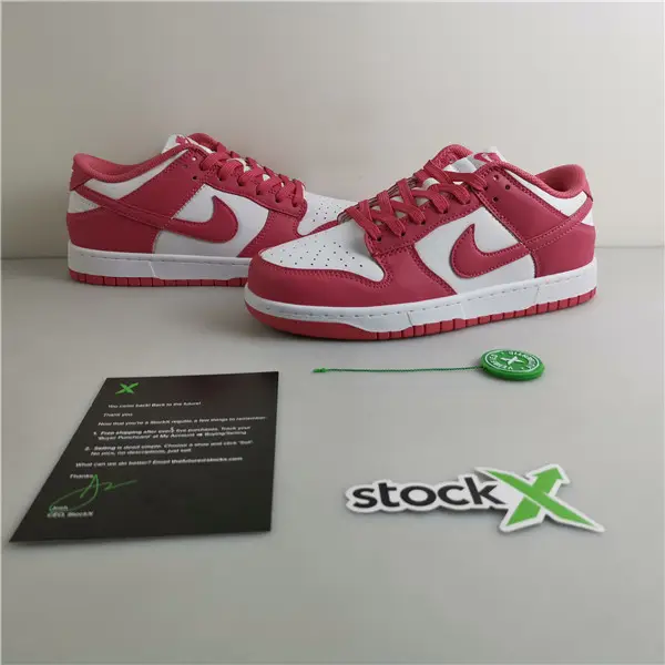 Nike Dunk Low Archeo Pink (W) 