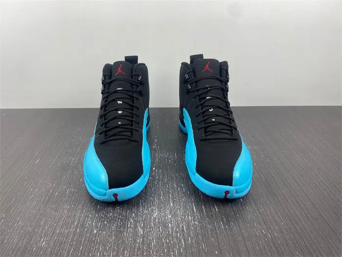 Air Jordan 12 