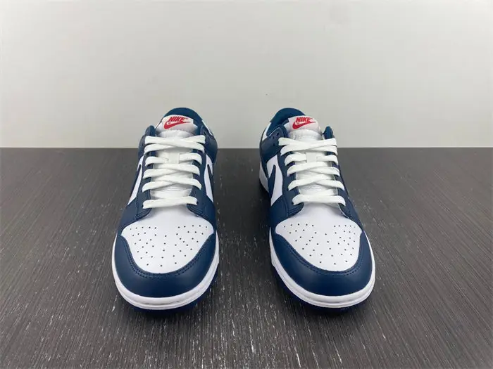 Nike Dunk Low Valerian Blue 