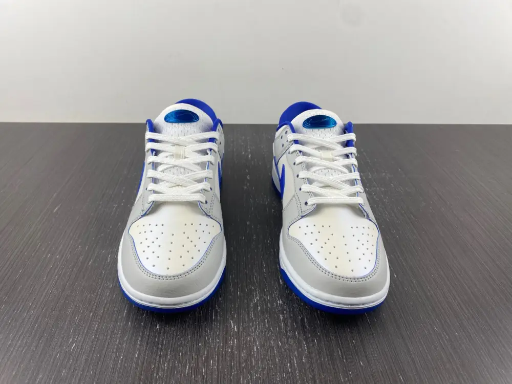 Nike Dunk Low Worldwide White Blue 