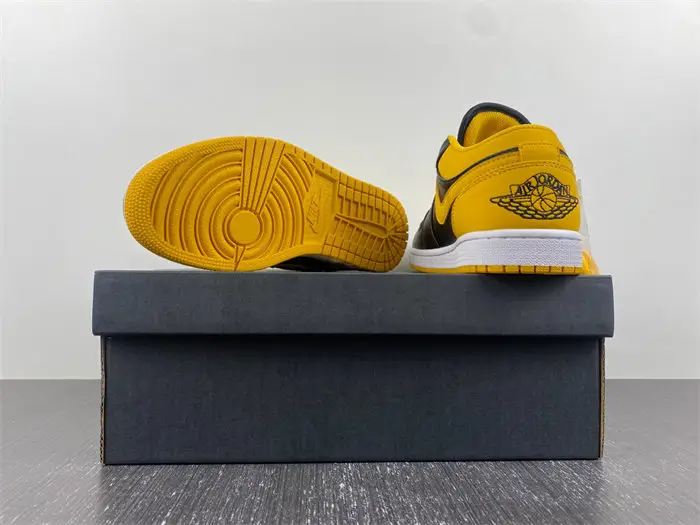 Jordan 1 Retro Low 