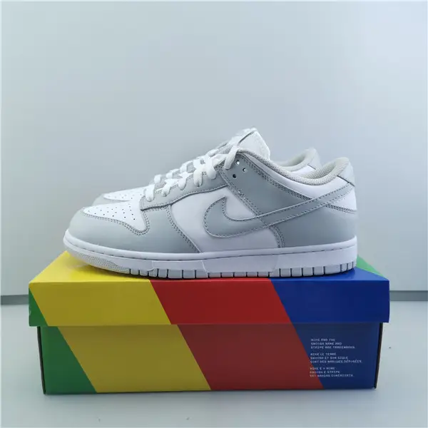 Nike SB Dunk Low Silver ash killer 
